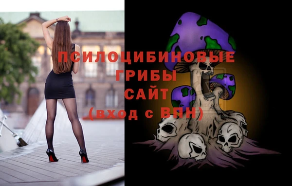 ешки Абинск
