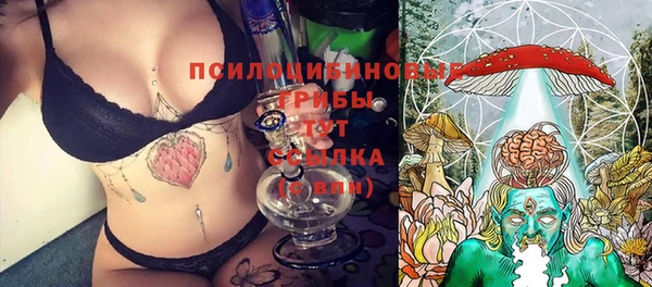 ешки Абинск