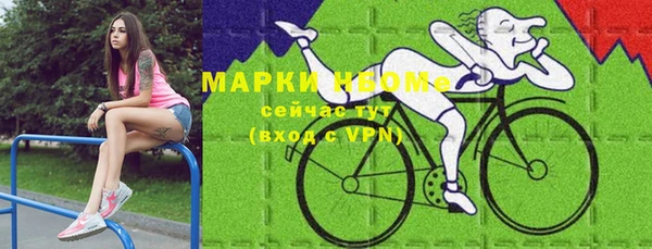 PSILOCYBIN Покачи