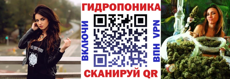 Каннабис сатива Верхоянск